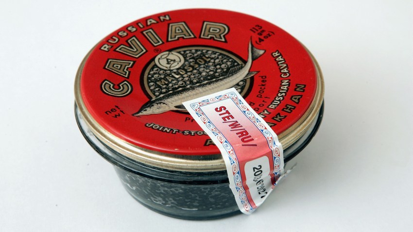 51874422SG001_caviar