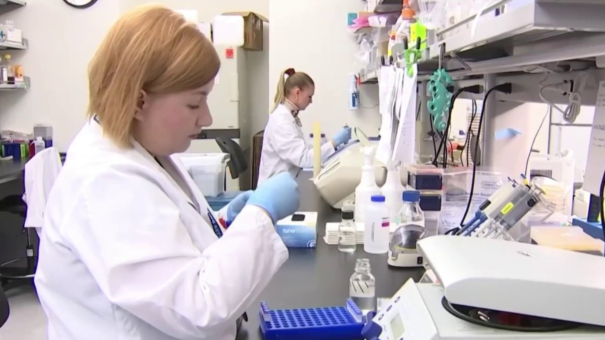 Inside the Search for a Faster COVID19 Test NBC New York