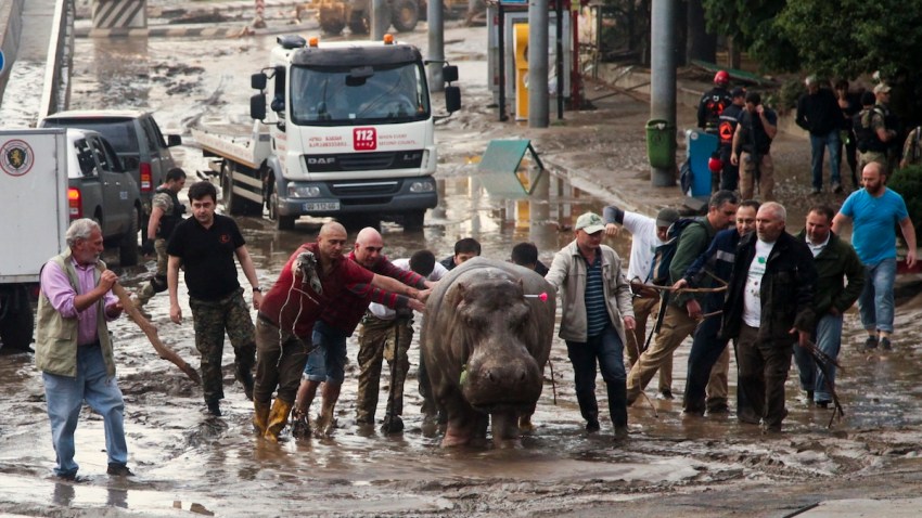 Georgia Flooding