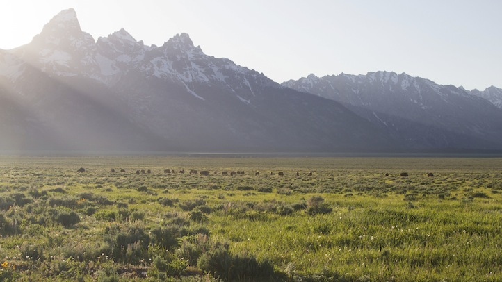 Grand Teton Land