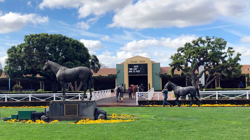 Santa Anita Fatalities Horse Racing