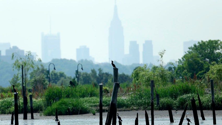 Superstorm Sandy Coastal Marshes
