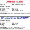 Amber-Alert-August-Pippins-7-21