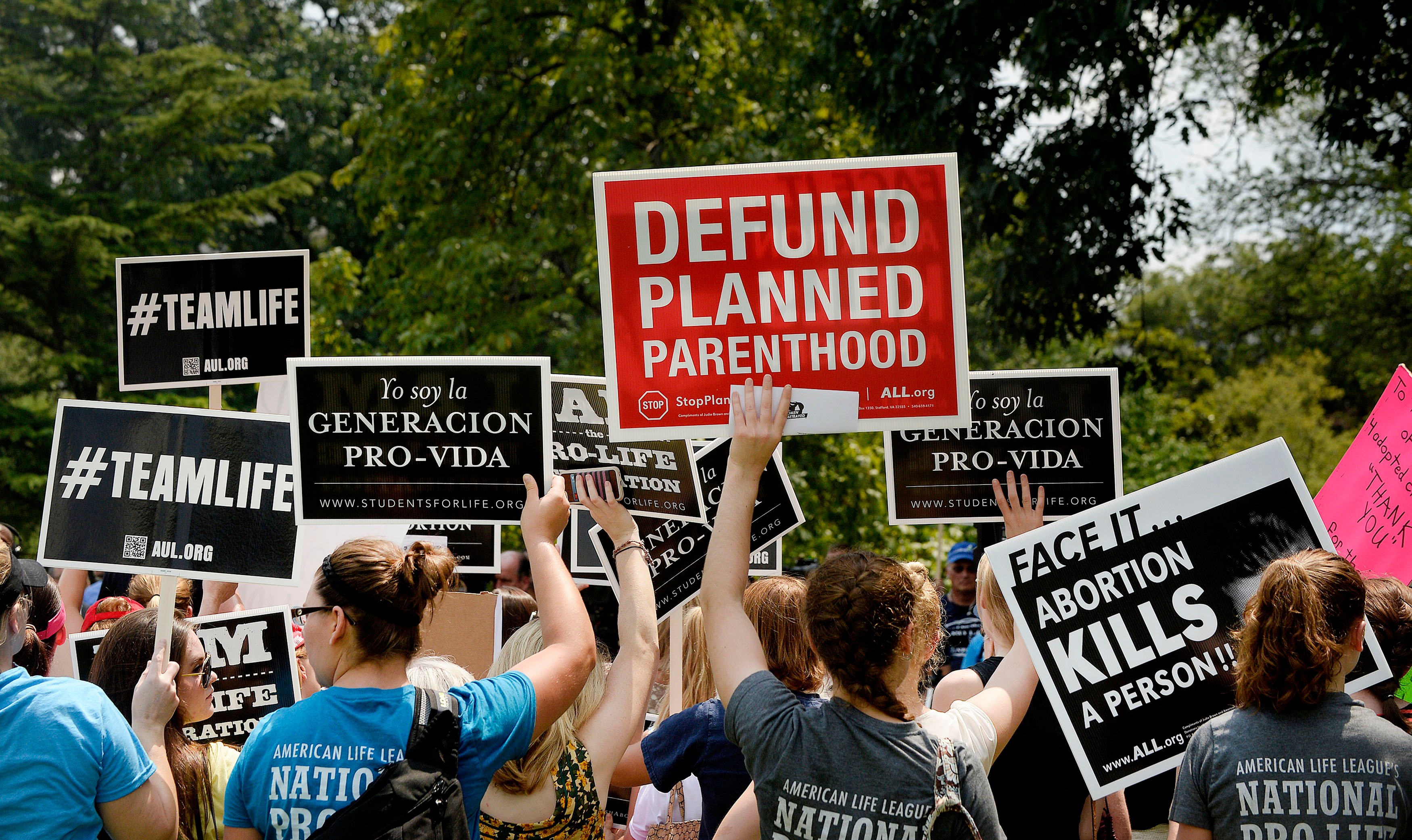 Michigan Woman, 84, Shot While Canvassing Against Abortion Rights Ballot Proposal - Vimarsana News