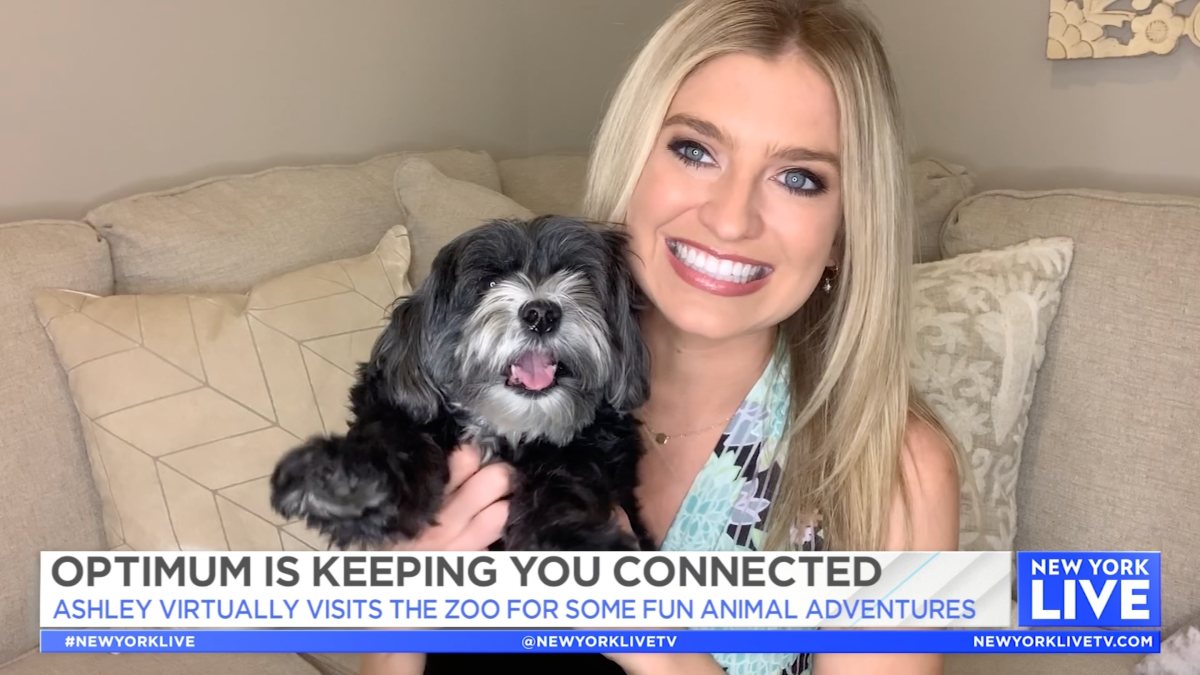 Optimum Brings The Zoo To You – NBC New York