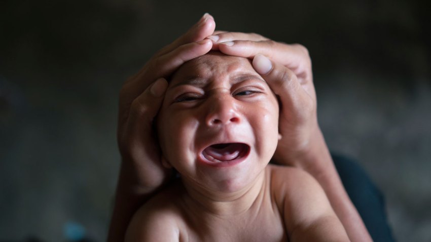 APTOPIX Brazil Zika Virus Behind the Camera