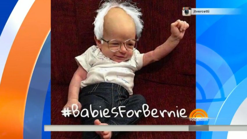 Bernie-Baby-Screenshot