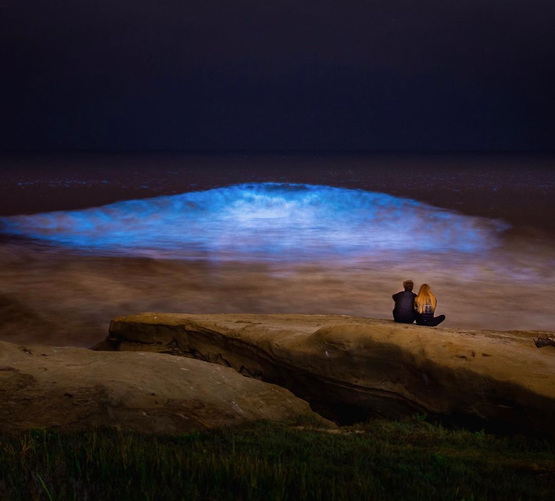 Stunning SoCal Bioluminescence Pic Shows Pair Enjoy Electric Blue Waves