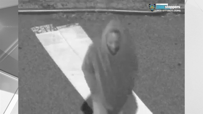 Bronx groper