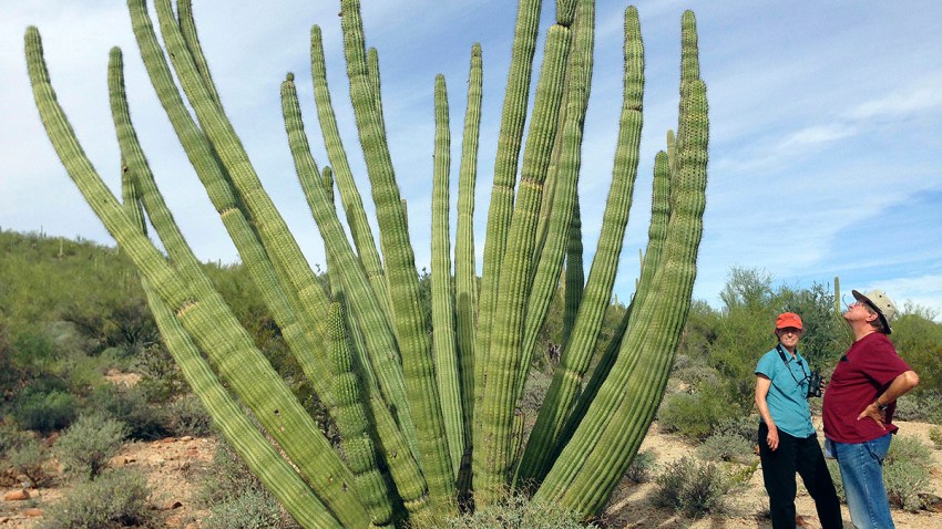 Border Wall Arizona