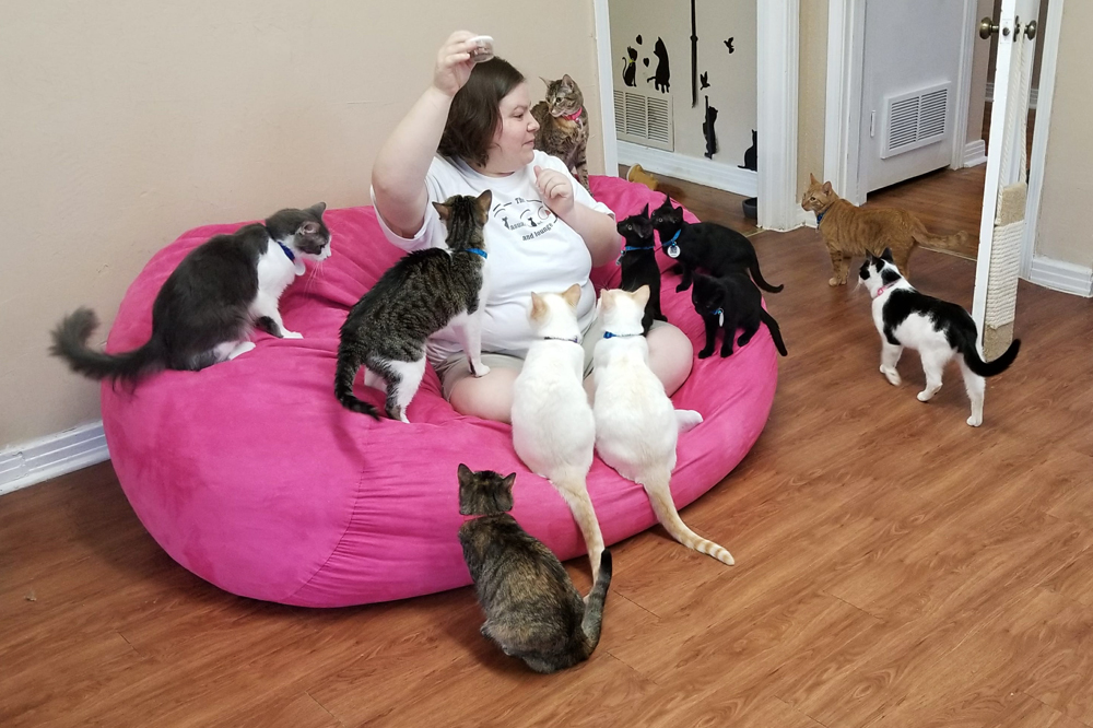 Cat Cafes New Purrfect Paradises For At Risk Shelter Cats Nbc New York
