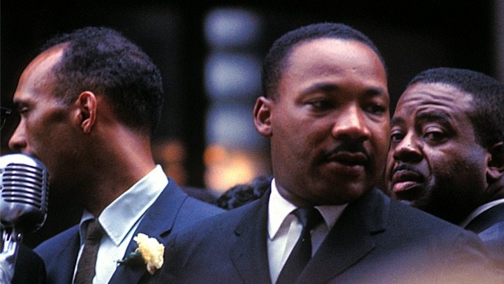 los angeles opposum mama babies