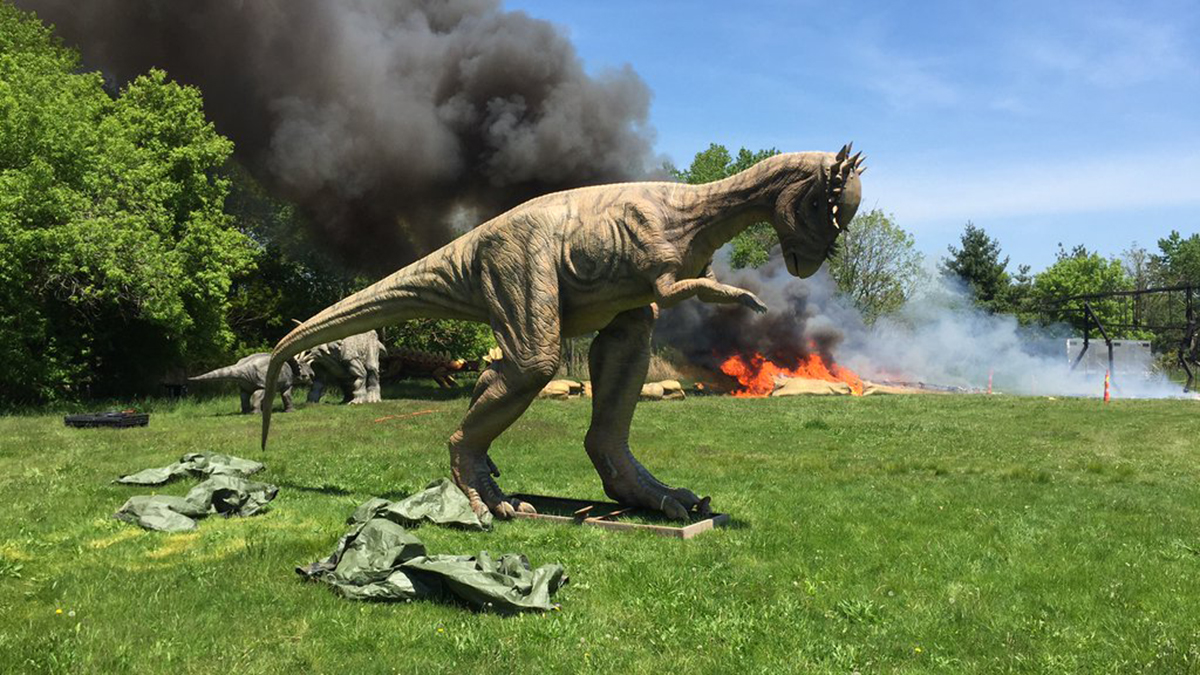 Dinosaur Roasted at Exhibit in New Jersey Park – NBC New York