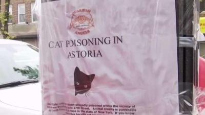 Community Concerned After String Of Cats Found Dead Nbc New York