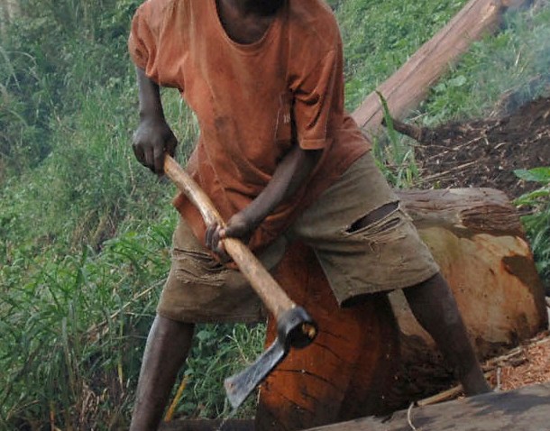 Congo2