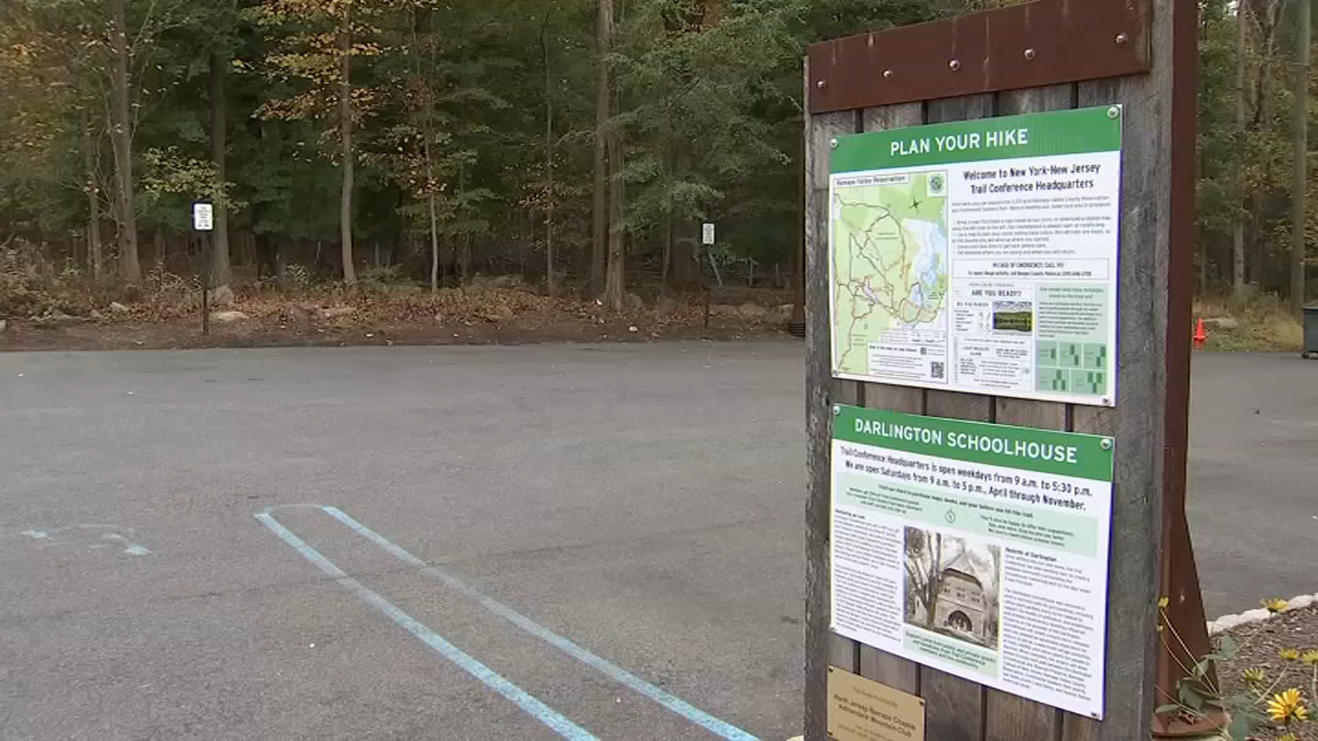 are there coyotes in new jersey