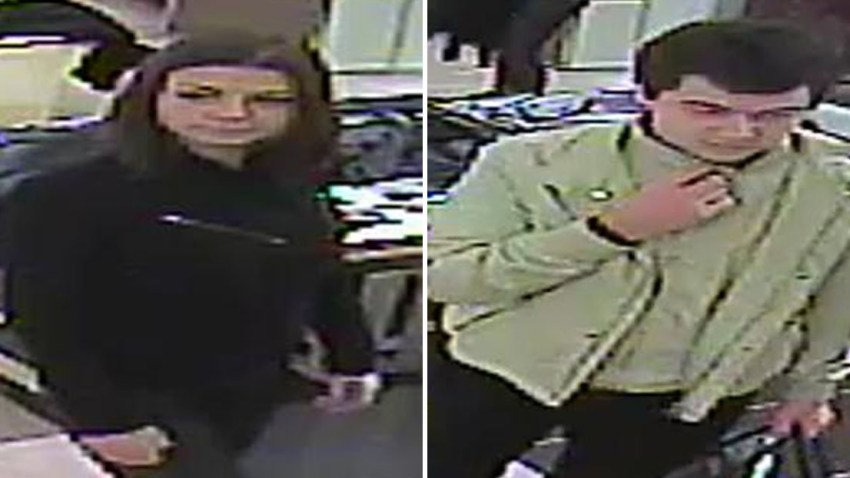 Crocodile-Coat-Suspects
