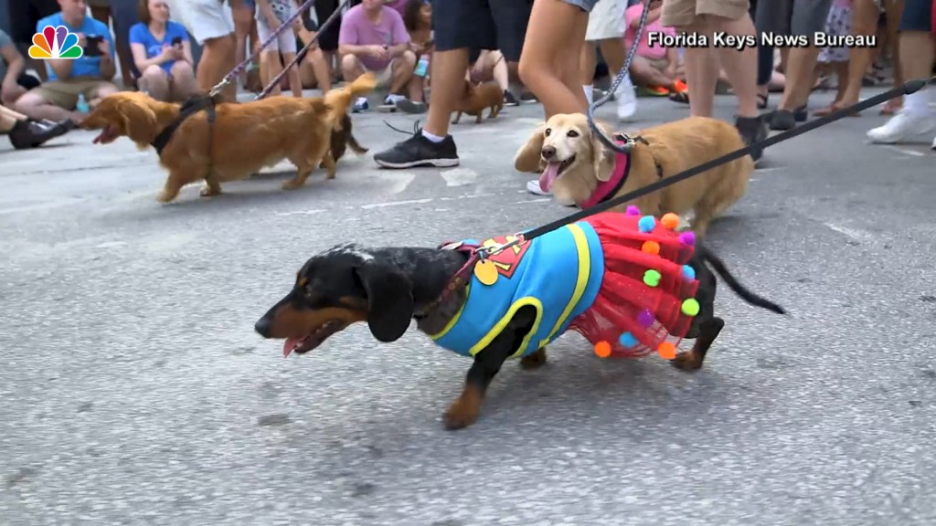 Https Www Nbcnewyork Com Weather Latest Forecast From Storm