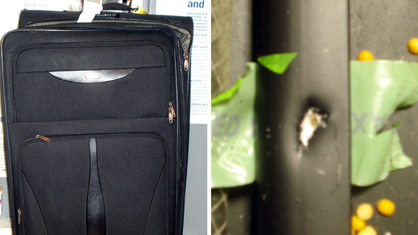 Drugs-Found-JFK