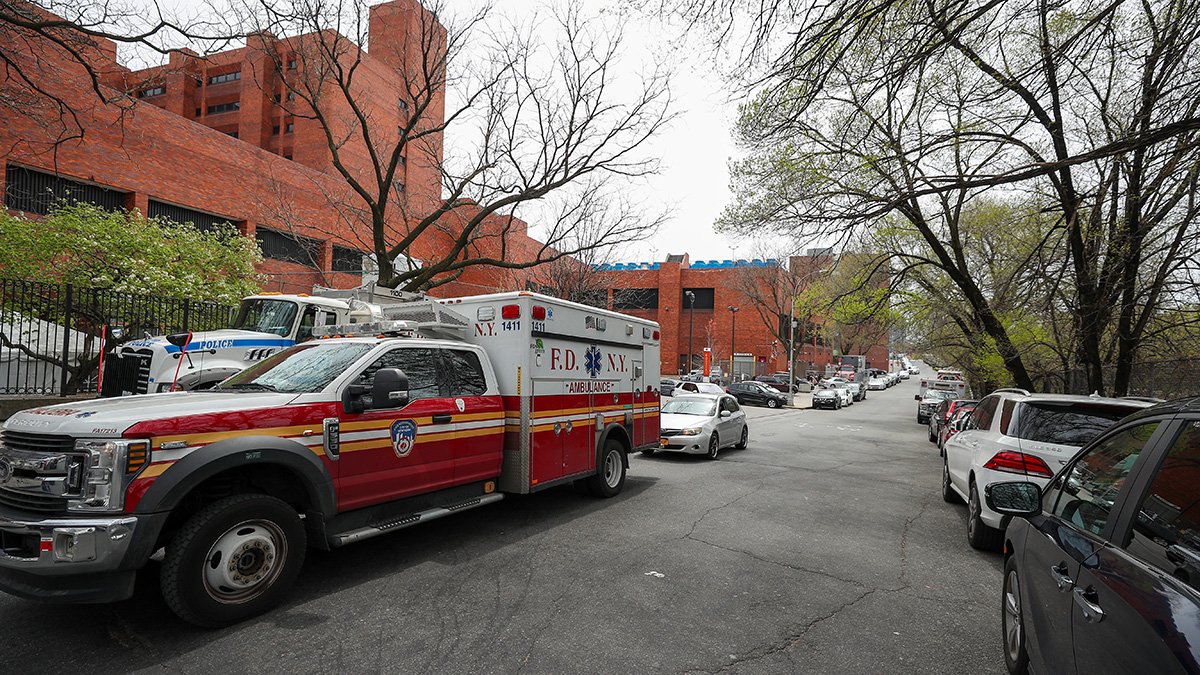 Queens Man Arrested for Bizarre Stabbing Death of Father Faces 25 Years ...