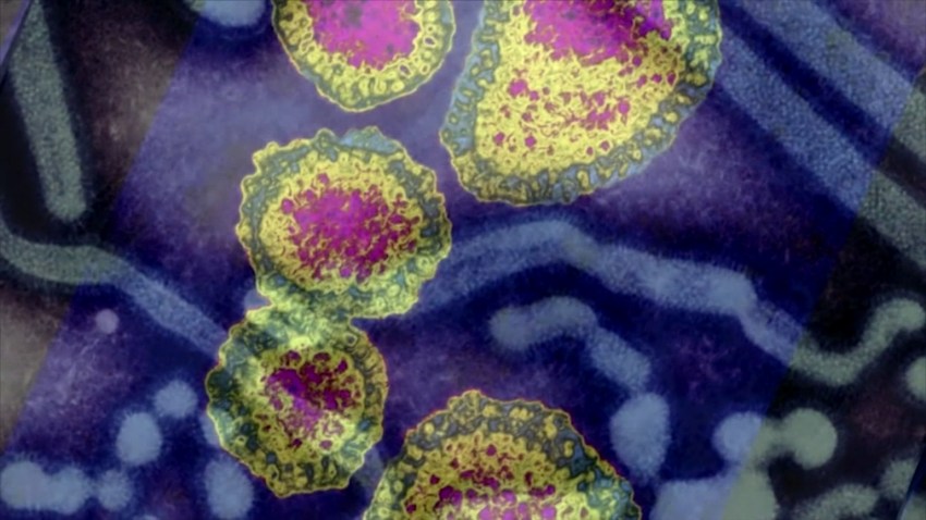 FLU8