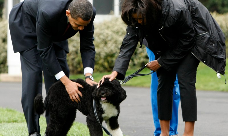 US Obama Dog Debut
