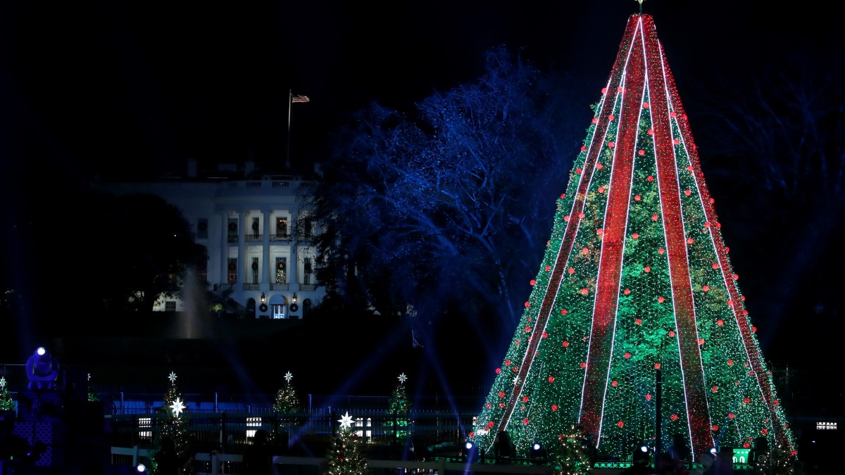 Man Climbs National Christmas Tree Outside White House NBC New York