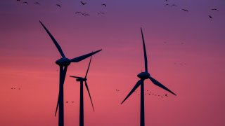 08 January 2020, Saxony, Leipzig: Birds fly past three wind turbines in the morning light. Photo: Jan Woitas/dpa-Zentralbild/ZB (Photo by Jan Woitas/picture alliance via Getty Images)