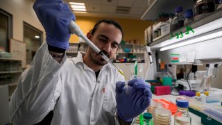 An Israeli scientist works at a laboratory at the MIGAL Research Institute in Kiryat Shmona in the upper Galilee in northern Israel on March 1, 2020