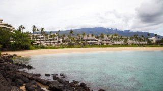 Hawaiin beach