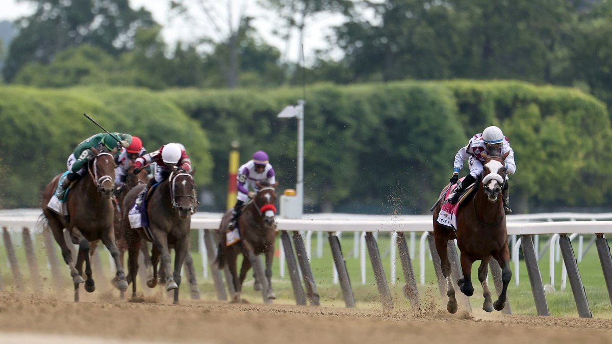 Tiz The Law Wins Belmont Stakes In First Race Of Triple Crown Nbc New York