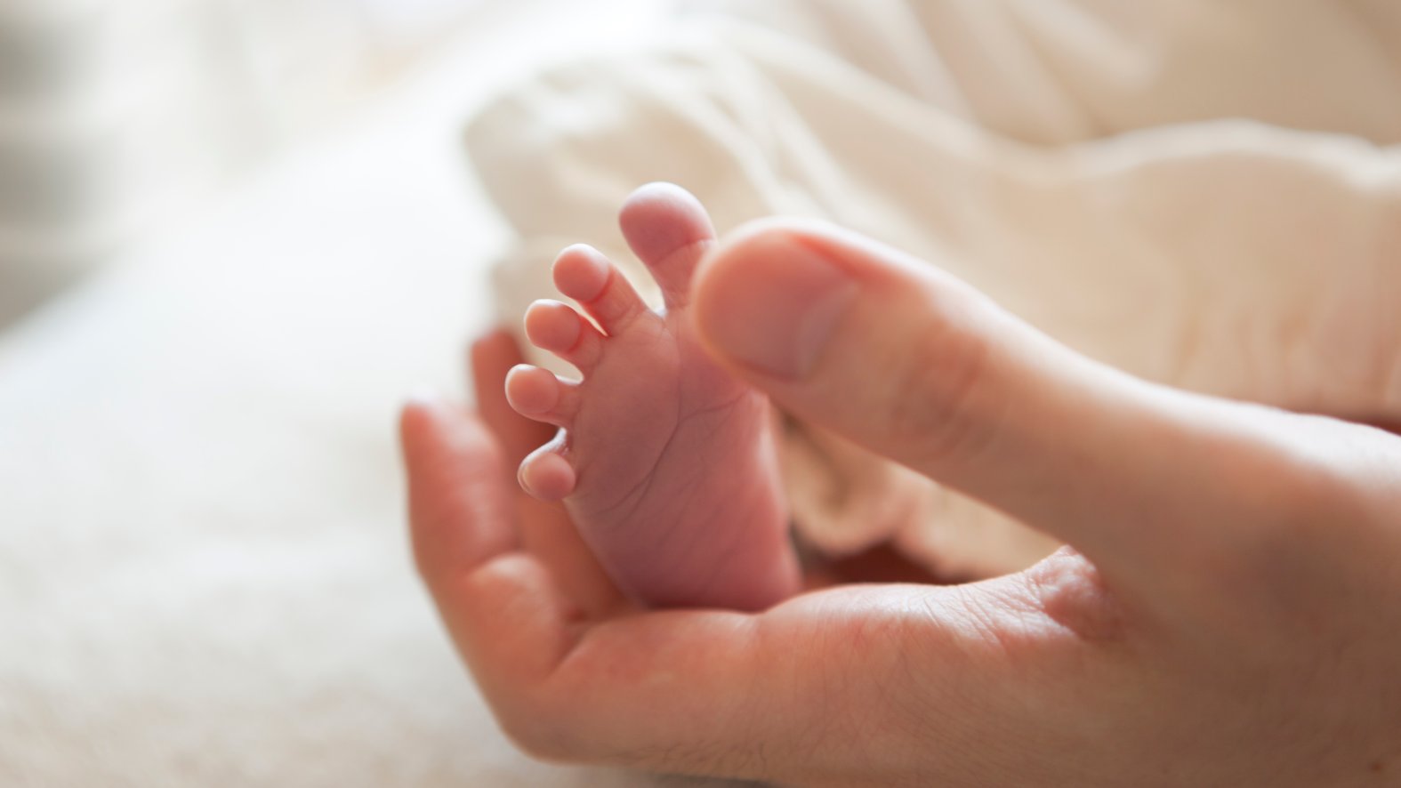 Woman Posed as Photographer, Drugged a Mom to Steal Newborn: Police