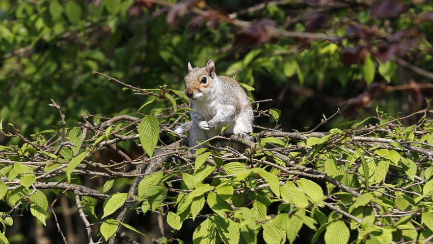 AA_09042015_43319