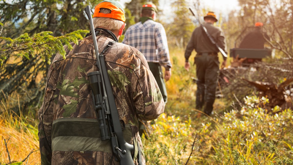 Record Low Number of Hunting Accidents in NY in 2019 – NBC New York