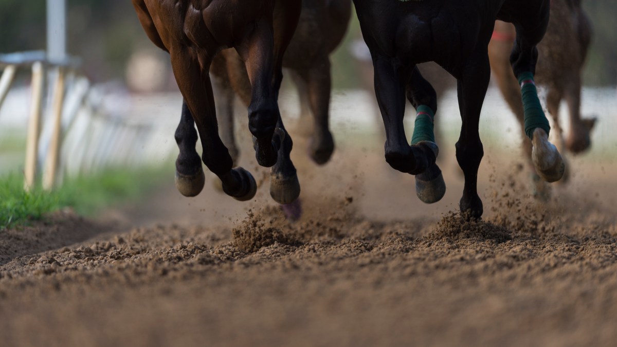 Over 2 Dozen Horse Racing Professionals Charged in Drug Scam NBC New York