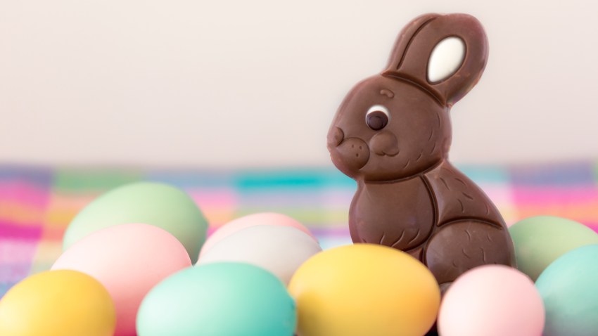 Chocolate Easter bunny
