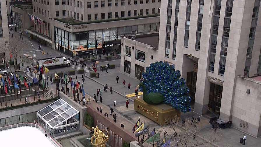 Giant Peacock Pops Up in Rockefeller Plaza – NBC New York