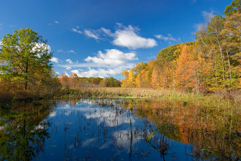 Wildlife Refuges See Spike in Visitors as Guests Flock Toward Nature ...