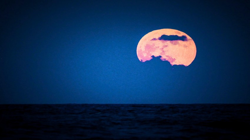 Harvest Moon in Dominican Republic