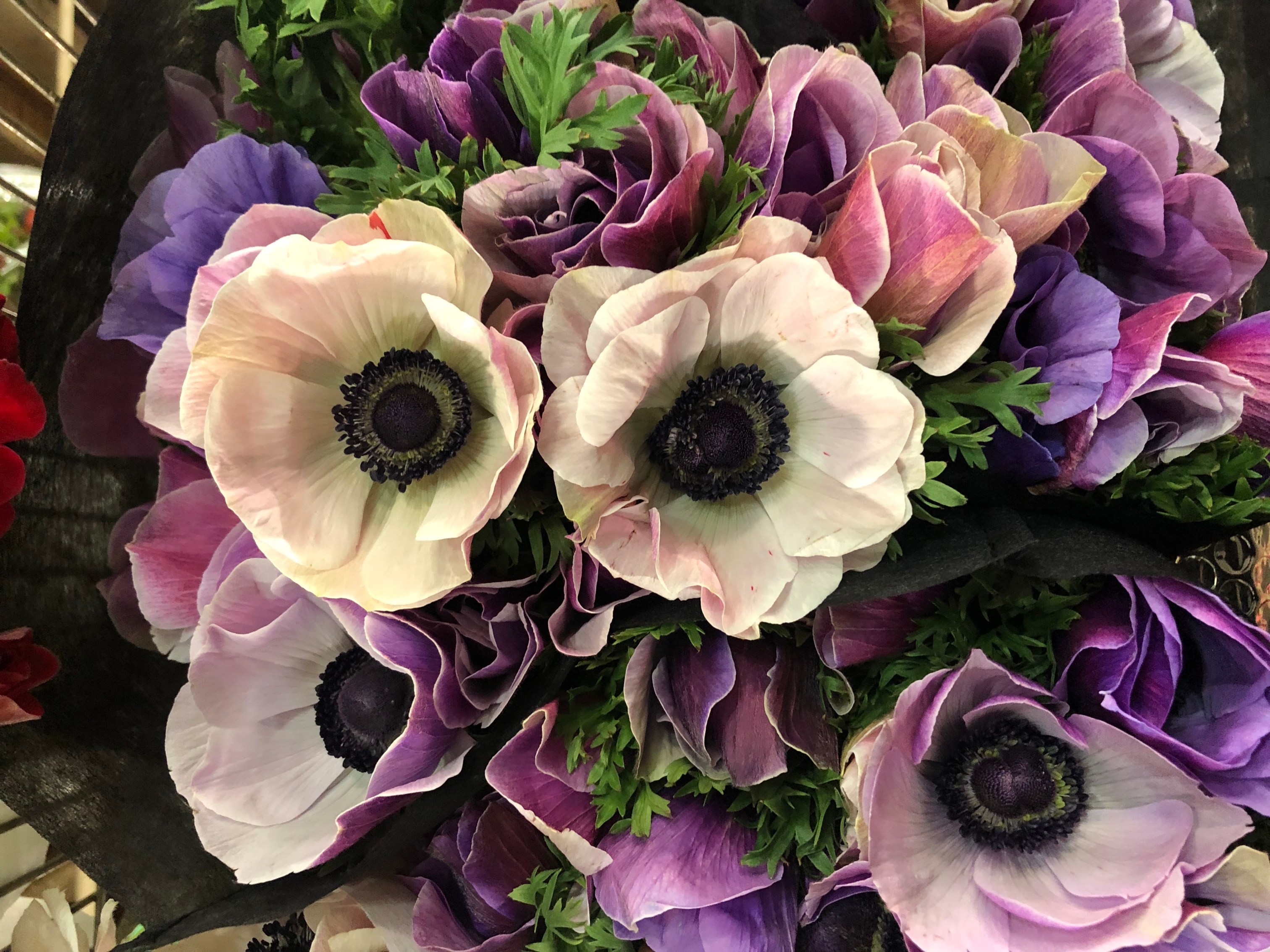 From Orchids To Calla Lily Find Out What Beautiful Flowers Are Decorating Our Set This Week By Jr Floral Studio Nyc Nbc New York
