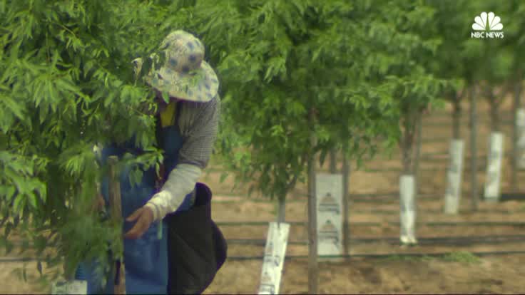 Https Www Nbcnewyork Com News Local New York Mets Overcome