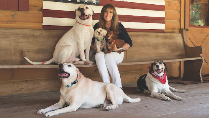 Meet Jill Rappaport – NBC New York