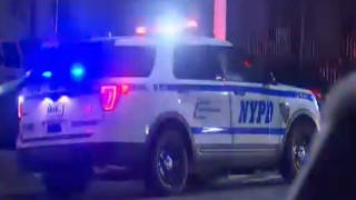 NYPD carro