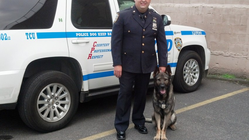 PO Ramirez_K9Diesel