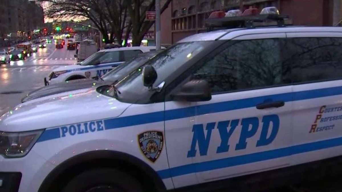 Brooklyn activist pleads guilty to setting fire to 11 NYPD vehicles