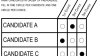 NYC mayor race: How does ranked choice voting work?