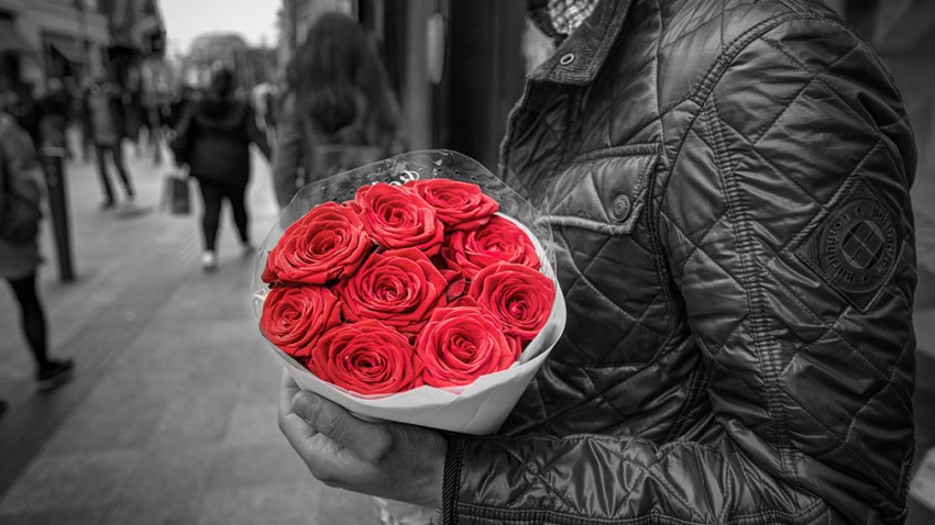 Roses_27