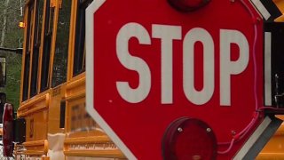 School Bus Stop