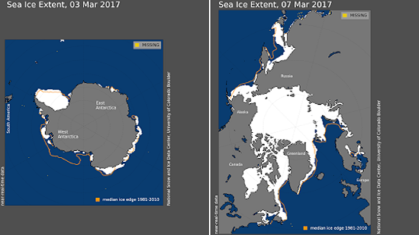 Sea Ice
