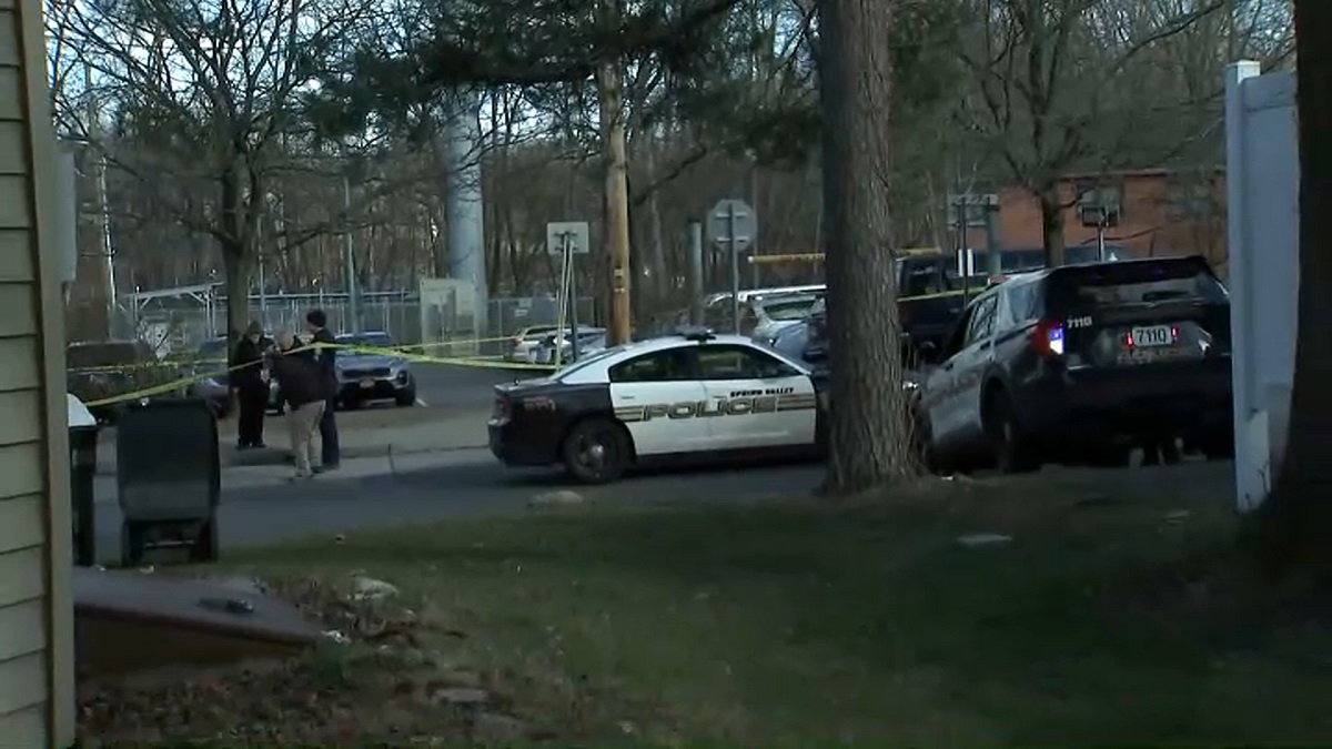 2 Sought After Shooting at Spring Valley Transit Hub Leaves 1 Hurt